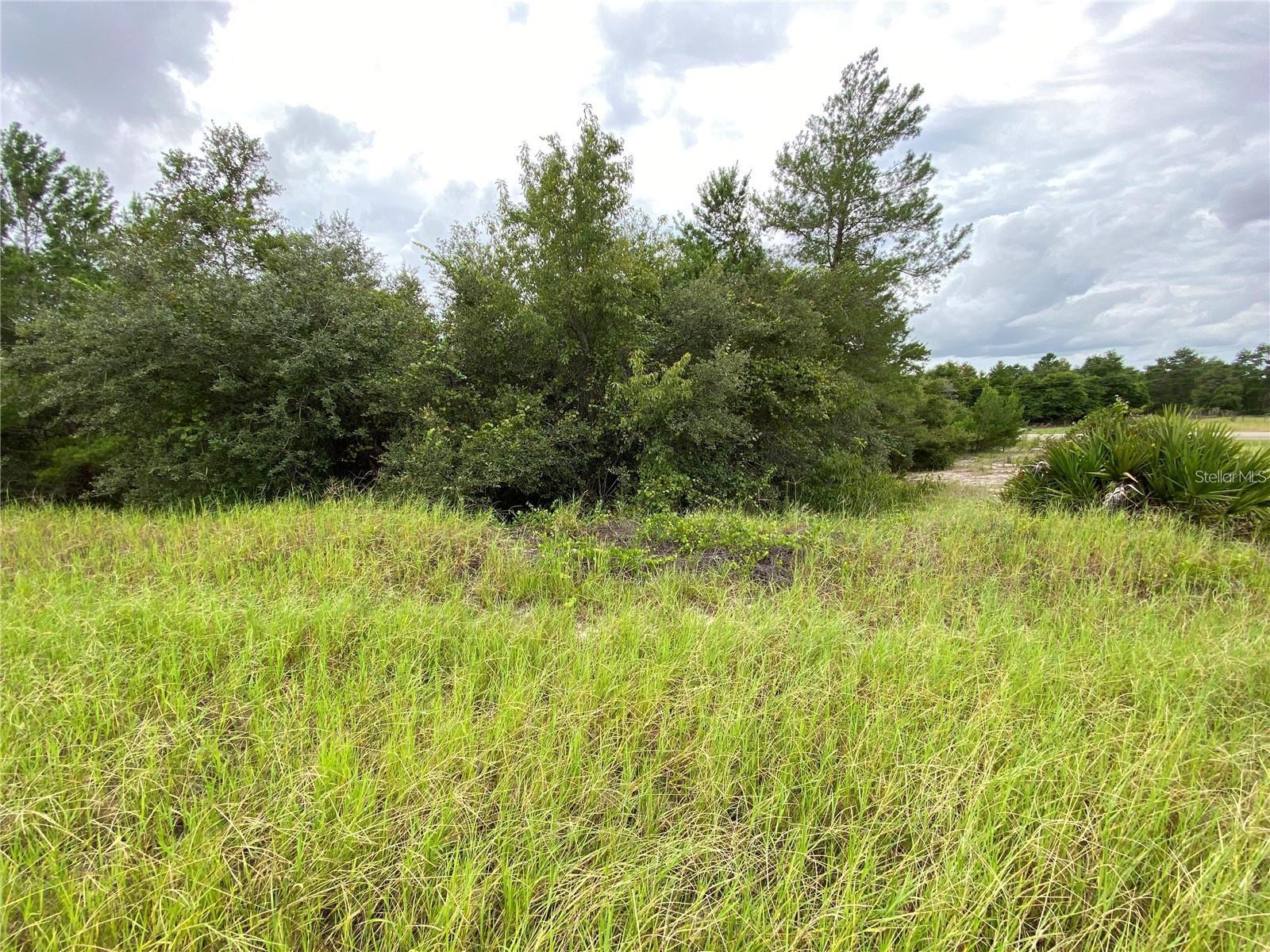 Image 2 of 5 For 1362 Homosassa Drive