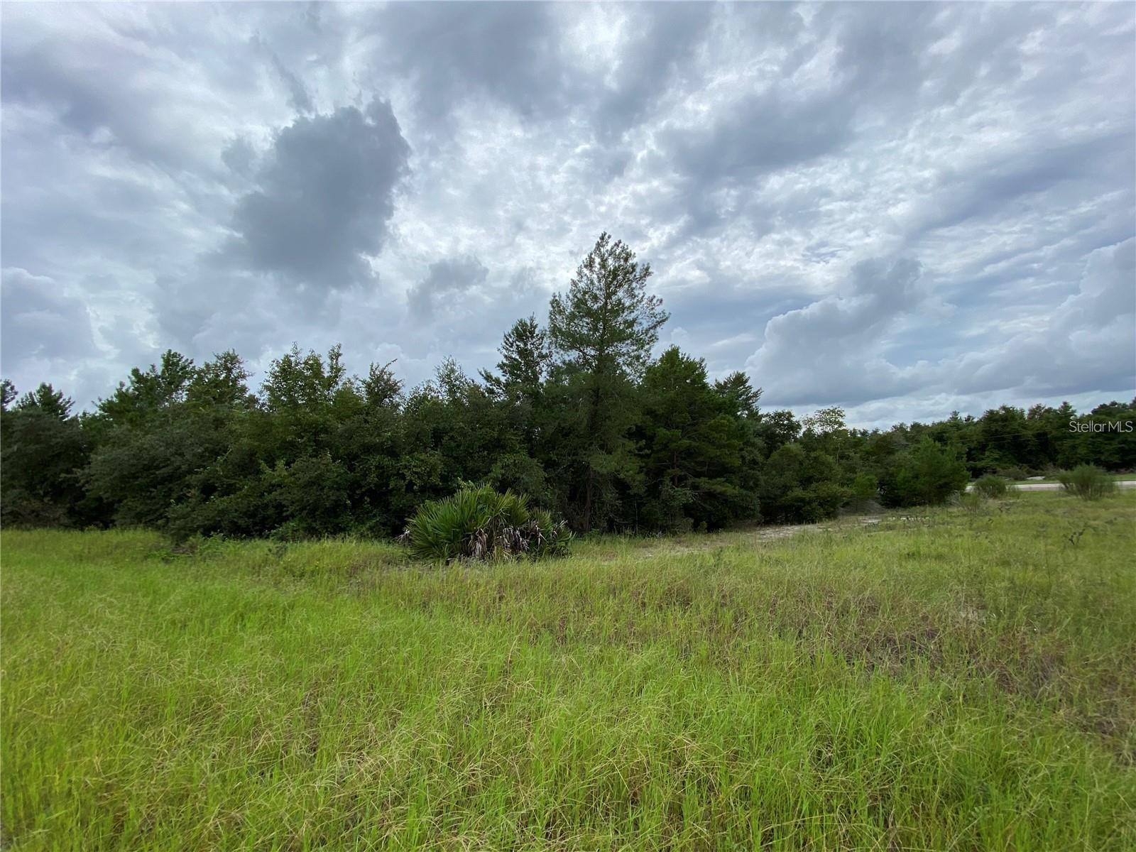 Image 3 of 5 For 1362 Homosassa Drive