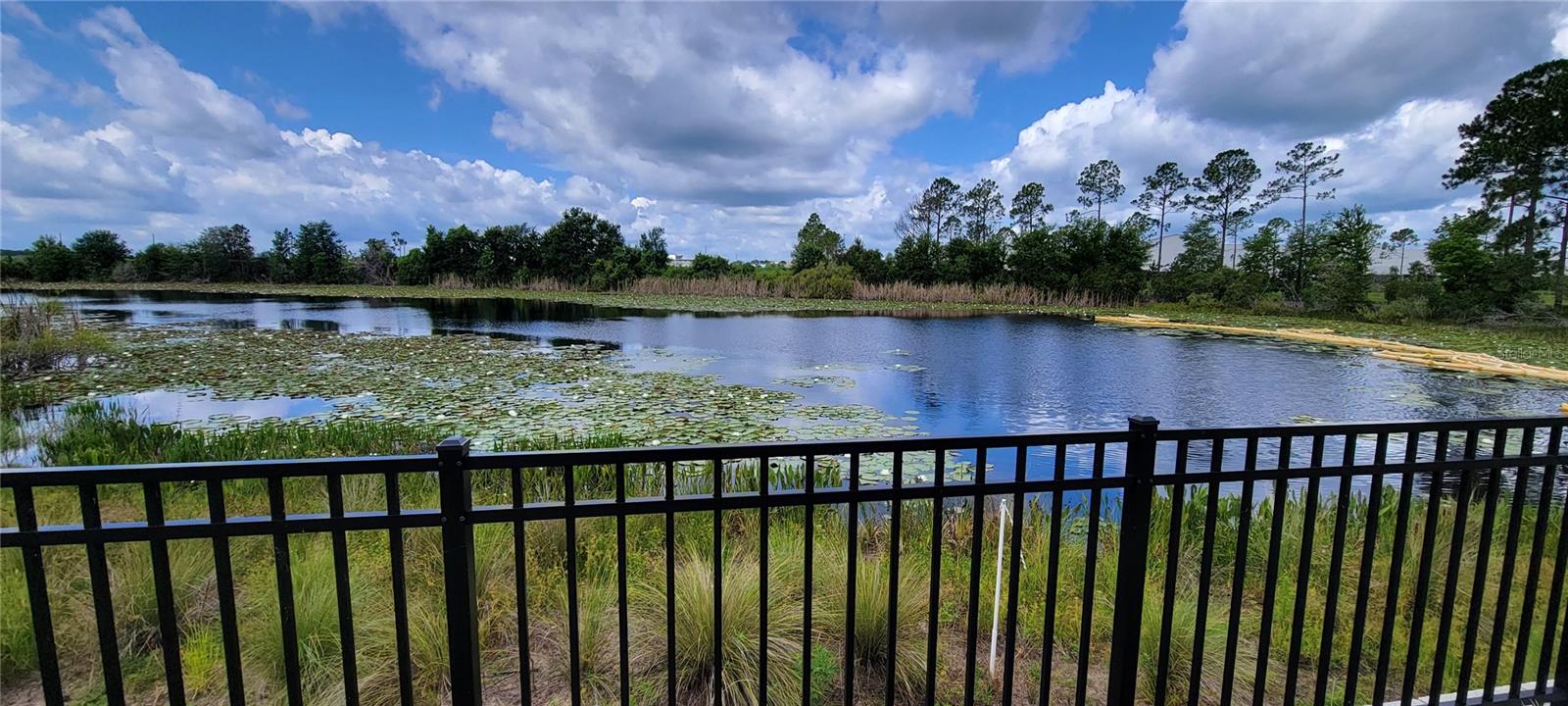 Image 21 of 47 For 17319 Million Lakes Court