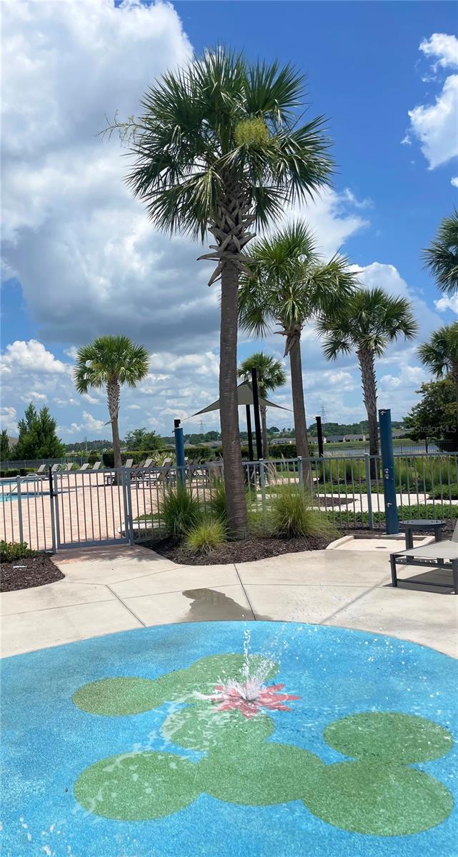 Image 43 of 43 For 3240 Canna Lily Place