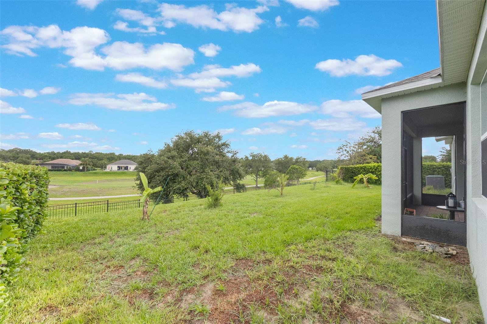 Image 54 of 69 For 31961 Redtail Reserve Boulevard