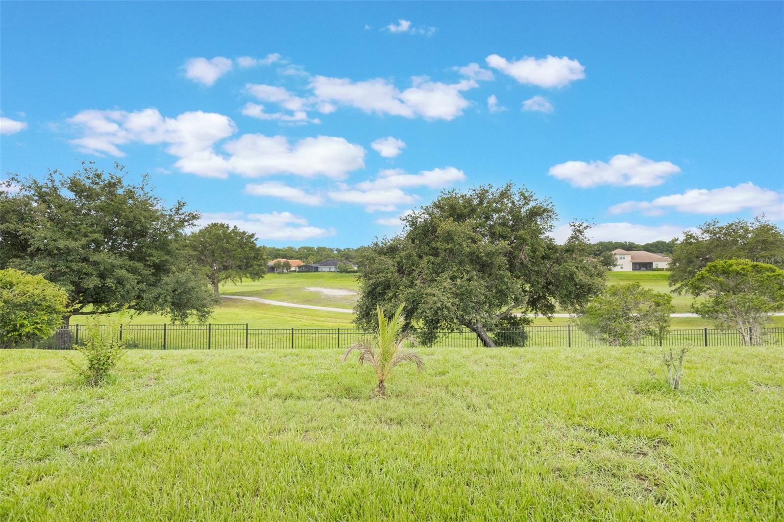 Image 57 of 69 For 31961 Redtail Reserve Boulevard