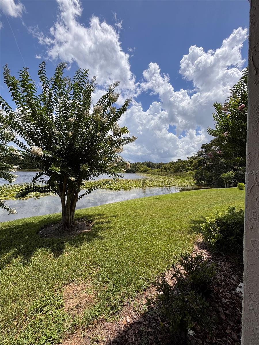 Image 13 of 13 For 145 Pearl Lake Causeway 104