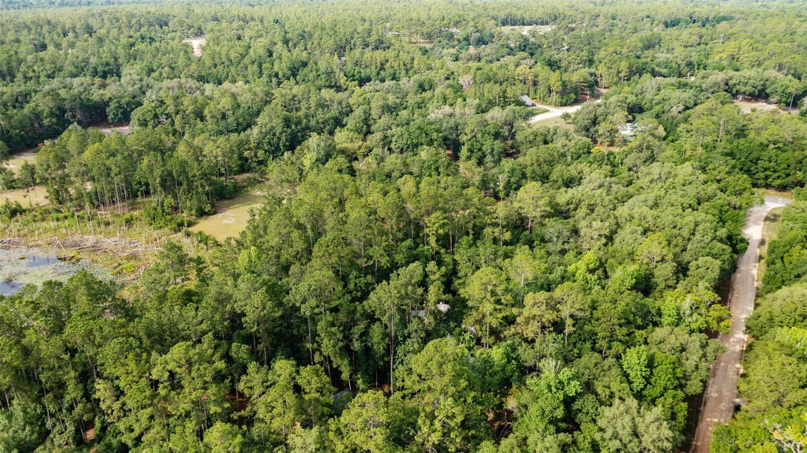 Image 3 of 16 For 261 Ashley Lake Drive