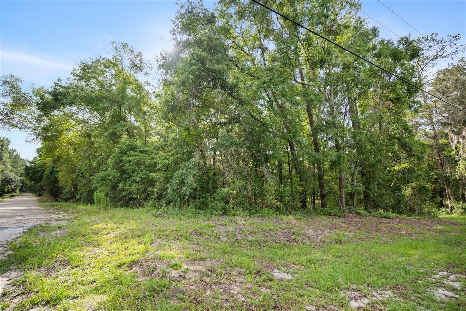 Image 9 of 16 For 261 Ashley Lake Drive