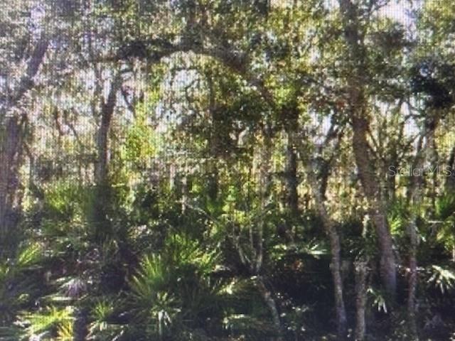 Image 2 of 2 For Old Polk City Road