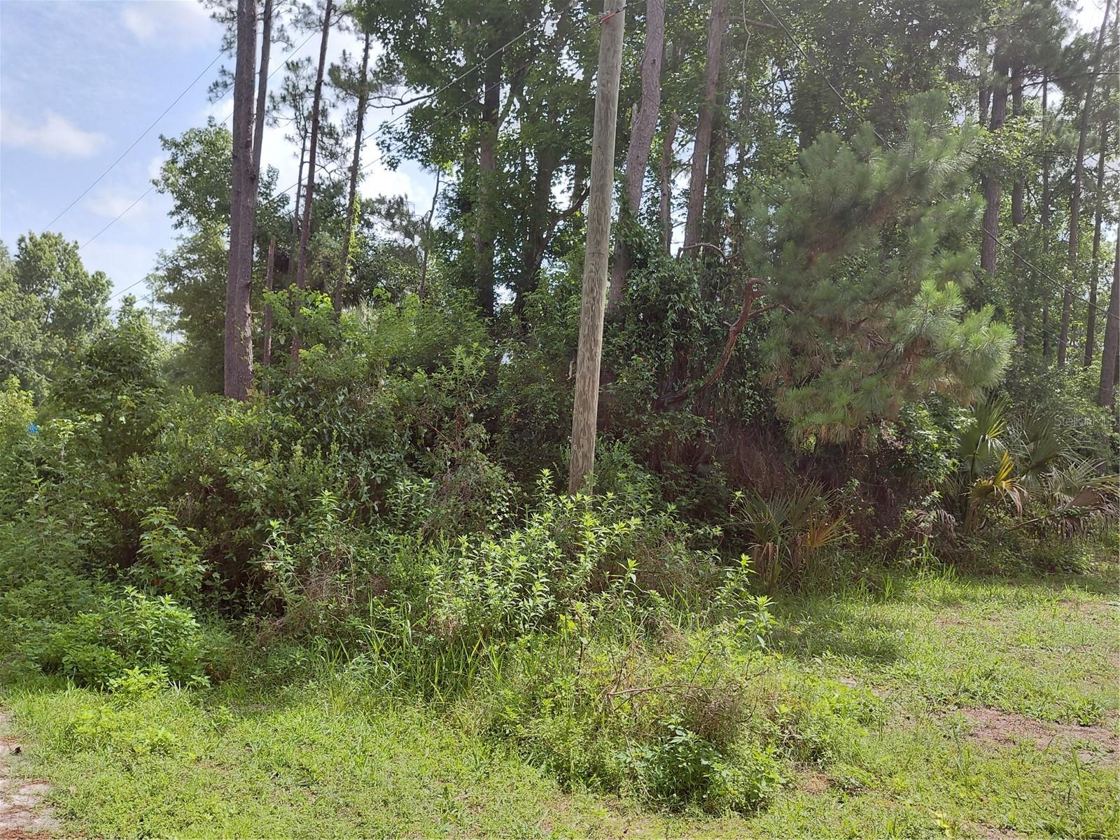 Image 4 of 4 For James Street