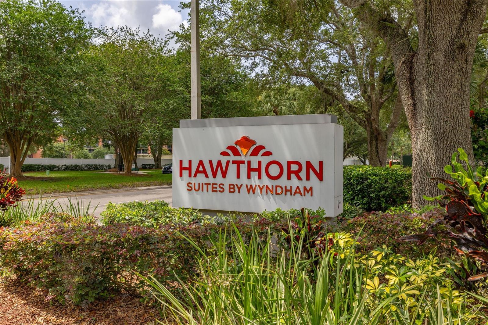 Image 56 of 56 For 8303 Palm Parkway 402