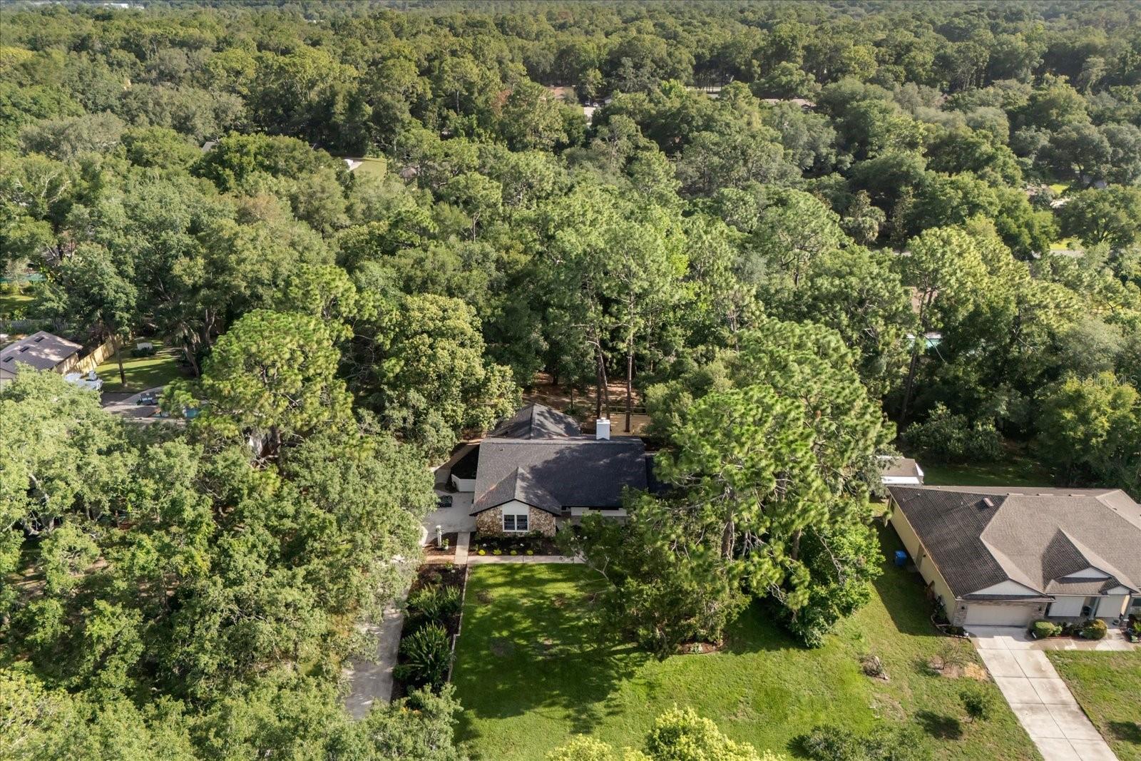 Image 31 of 32 For 643 Princewood Drive