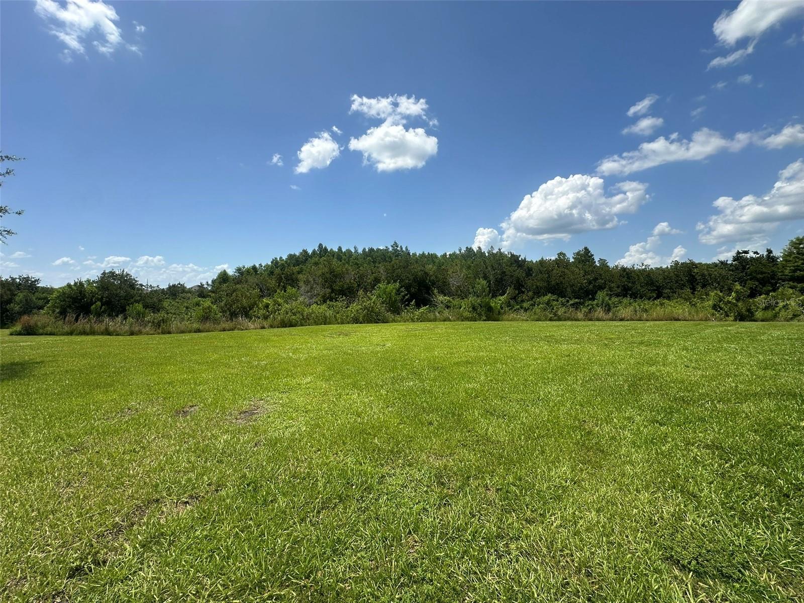Image 45 of 50 For 3848 Cabo Rojo Dr