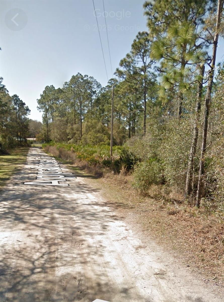 Details for Appaloosa Drive, INTERLACHEN, FL 32148
