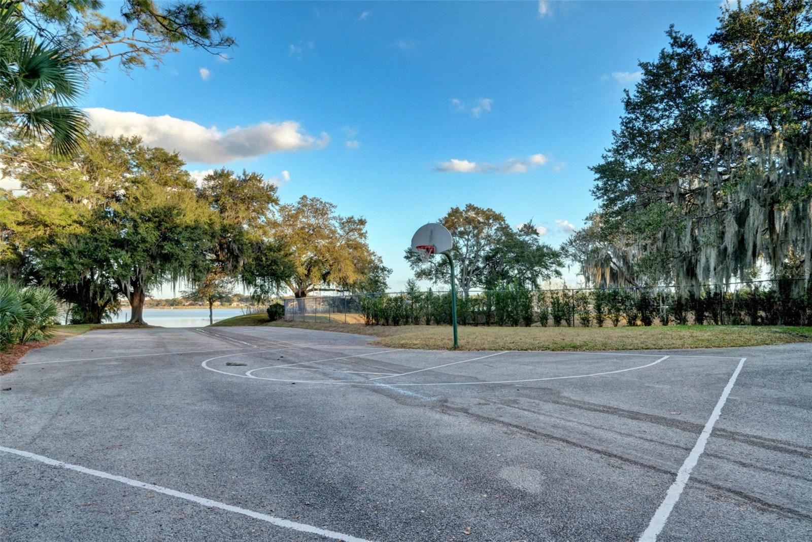 Image 63 of 64 For 9324 Carolview Way