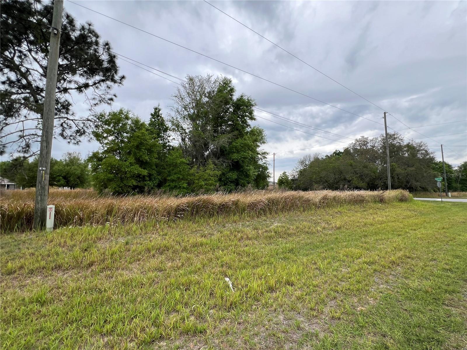 Image 5 of 5 For Tbd