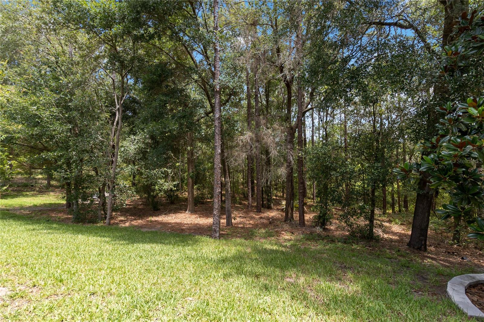 Image 44 of 53 For 207 Spalding Way