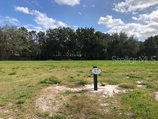 Details for Gladys Garden Ct, WINDERMERE, FL 34786