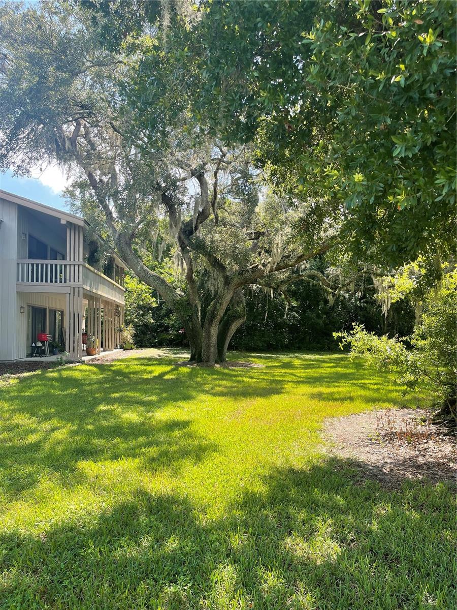 Image 21 of 23 For 116 Palm View Court 3535-6