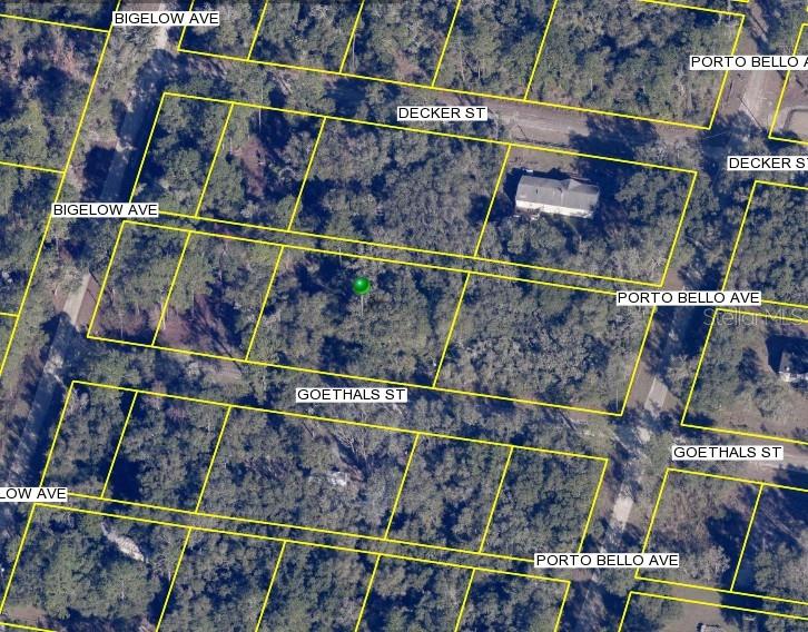 Details for Goethals Street, WEBSTER, FL 33597