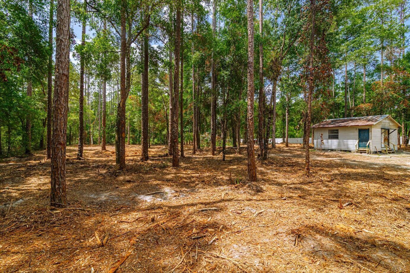 Details for 569 356th Avenue, OLD TOWN, FL 32680