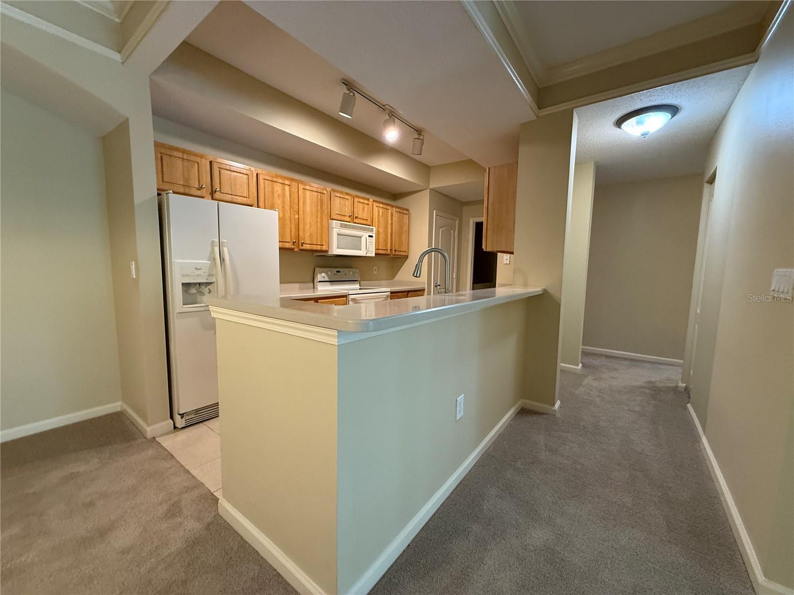 Image 10 of 47 For 12016 Villanova Drive 102