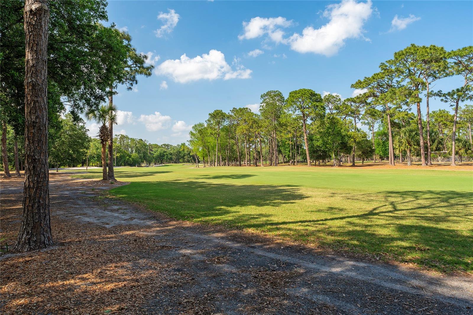 Image 36 of 46 For 1111 Pinar Drive
