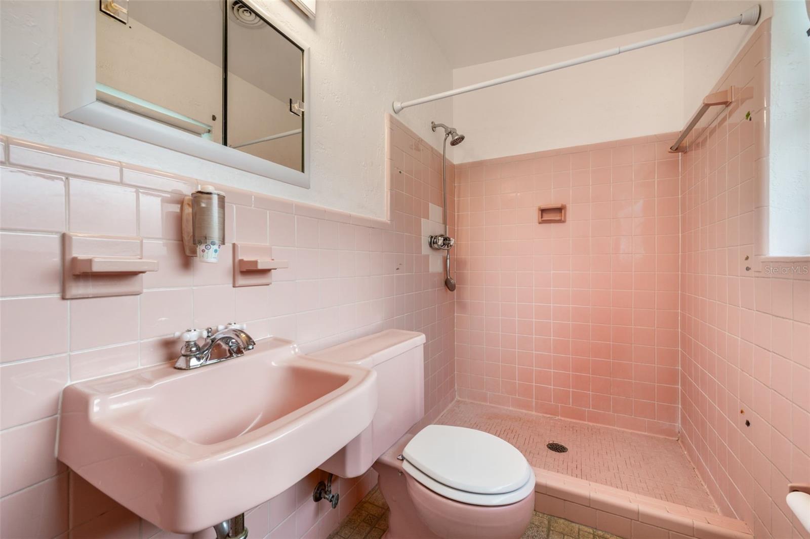 Image 17 of 21 For 209 Wilmer Avenue