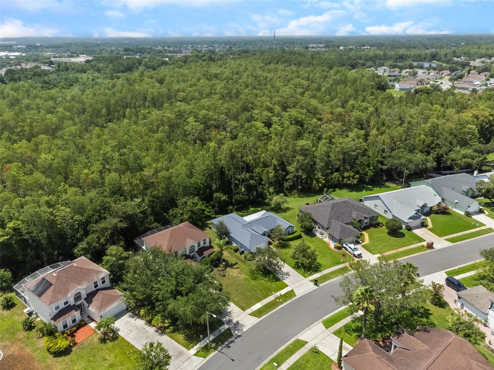 Image 58 of 59 For 10675 Fairhaven Way