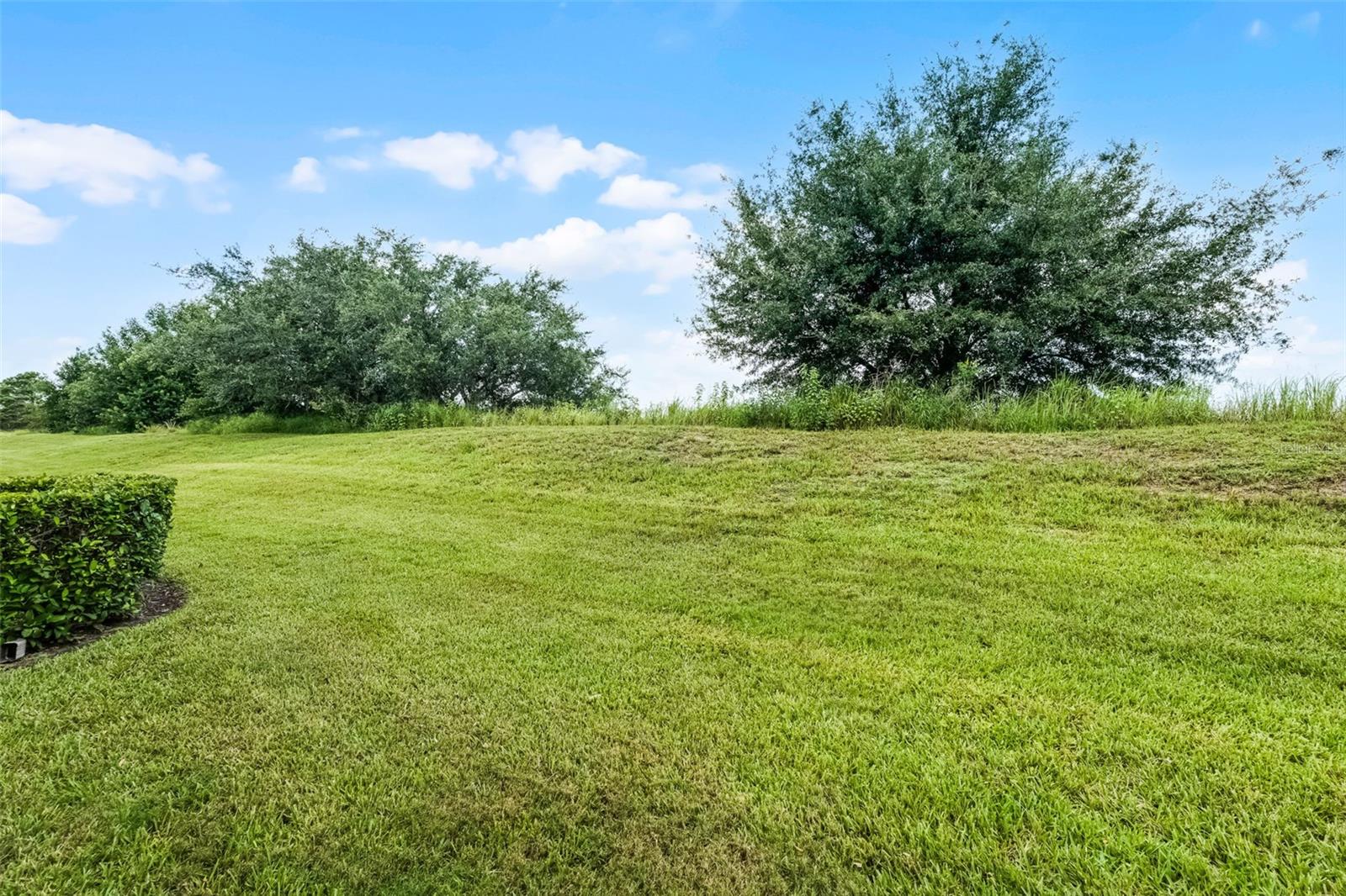 Image 33 of 54 For 17453 Chateau Pine Way