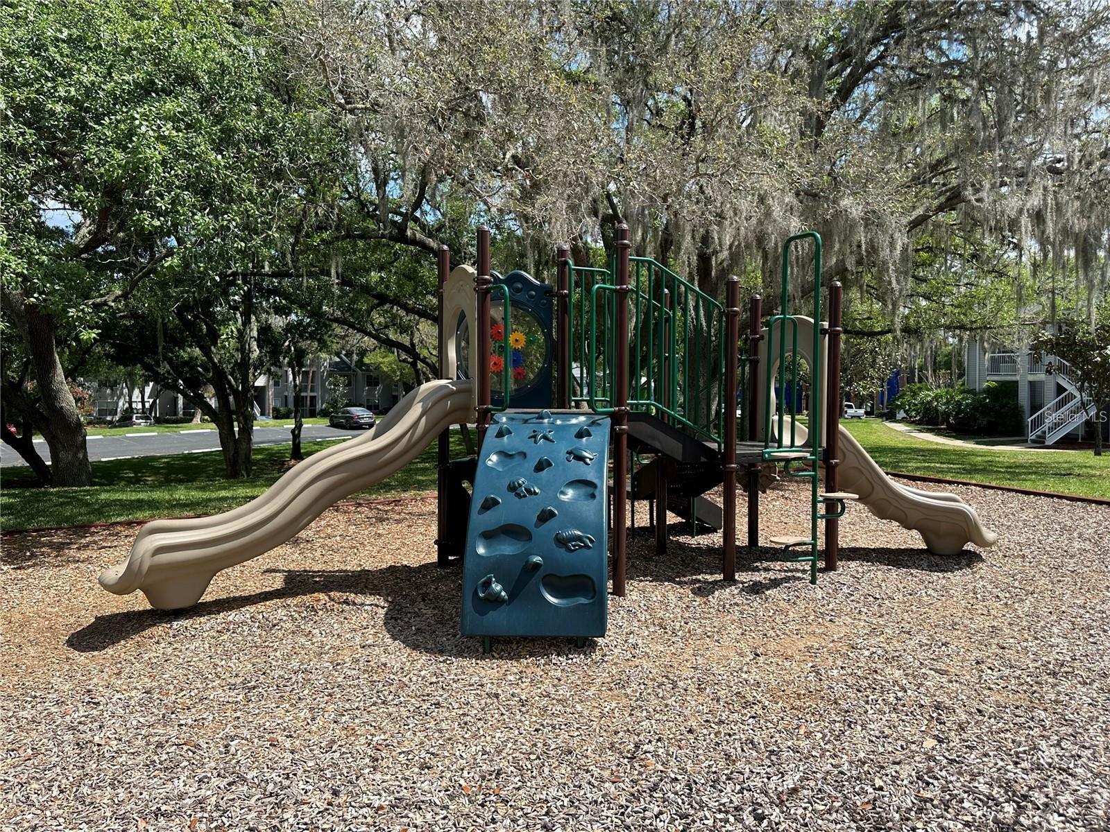 Image 31 of 43 For Address Not Provided