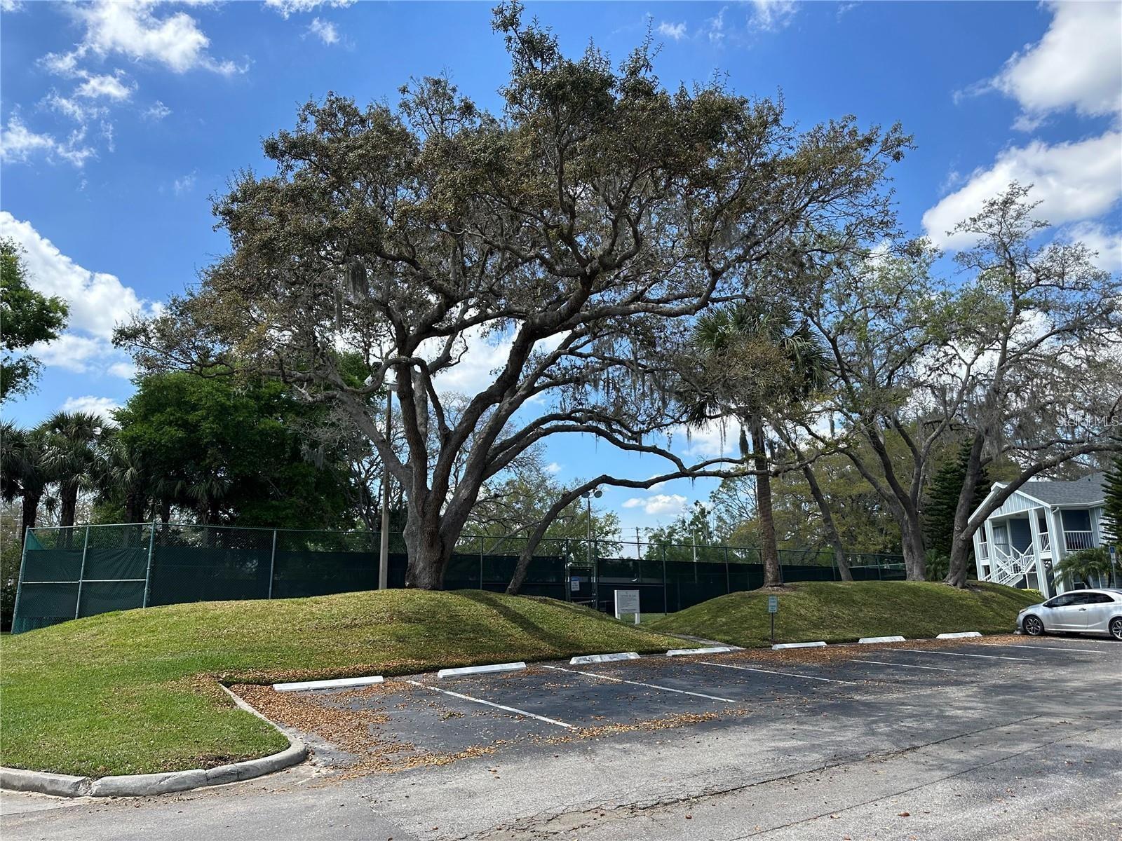 Image 40 of 43 For Address Not Provided