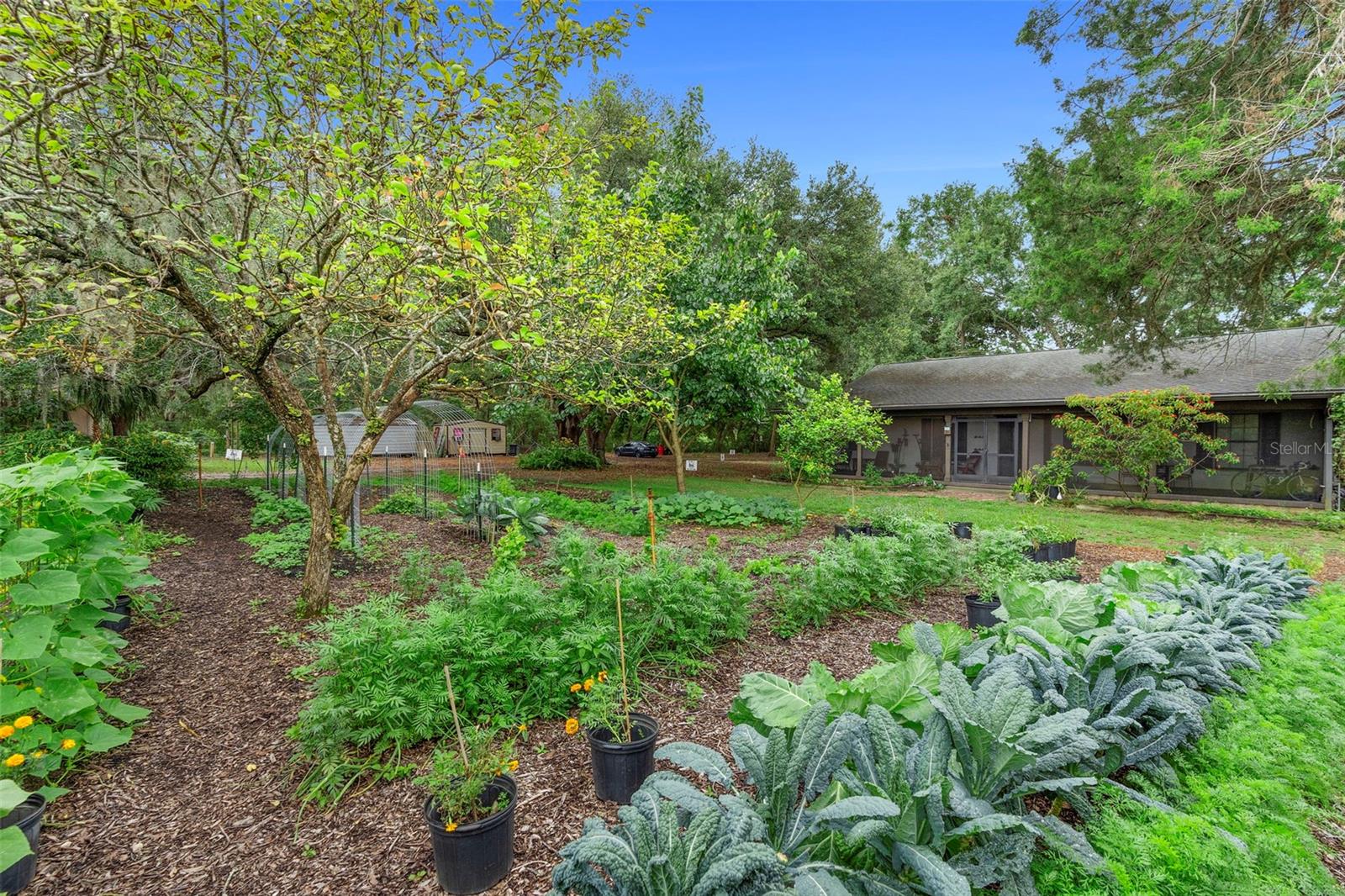 Image 36 of 99 For 2016 Lewis Road