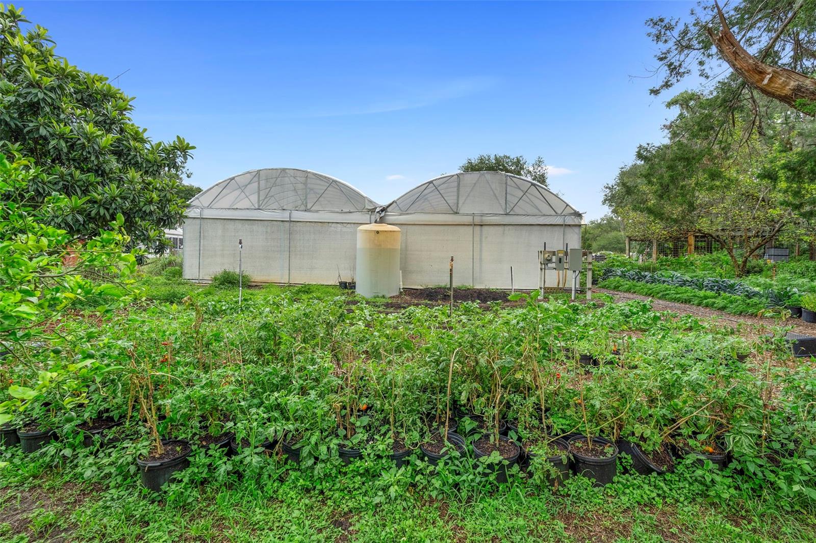 Image 84 of 99 For 2016 Lewis Road