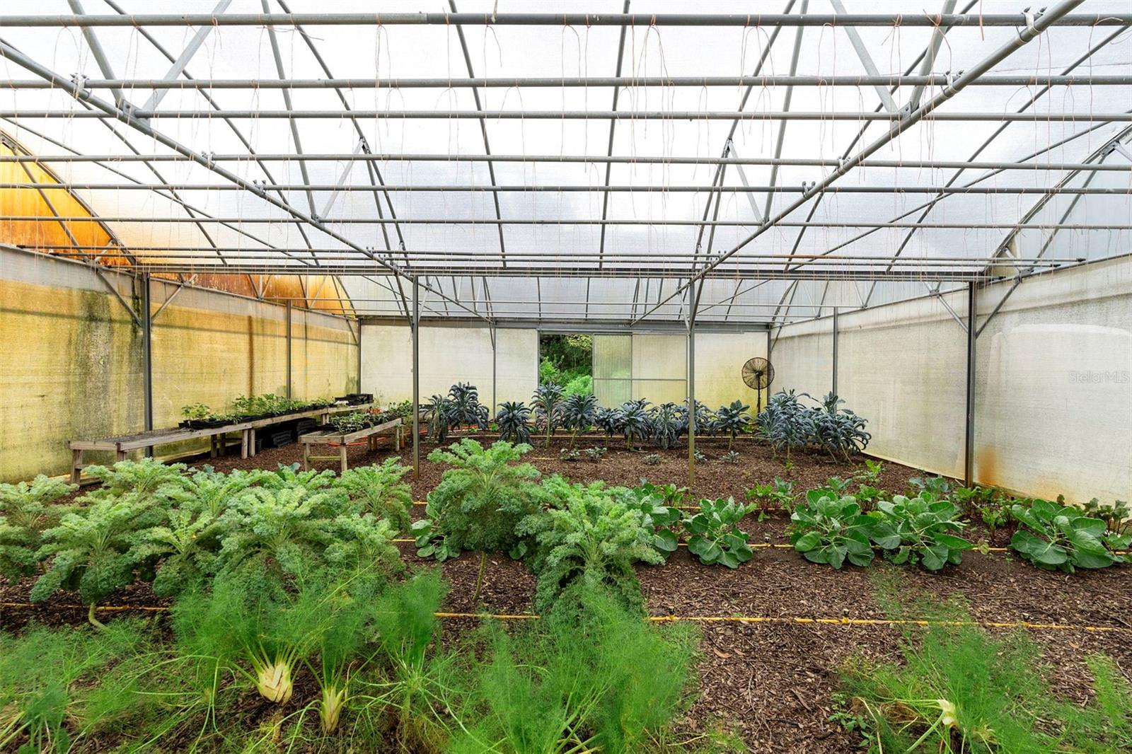 Image 86 of 99 For 2016 Lewis Road