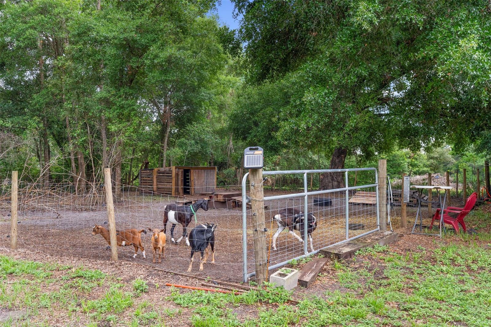 Image 87 of 99 For 2016 Lewis Road