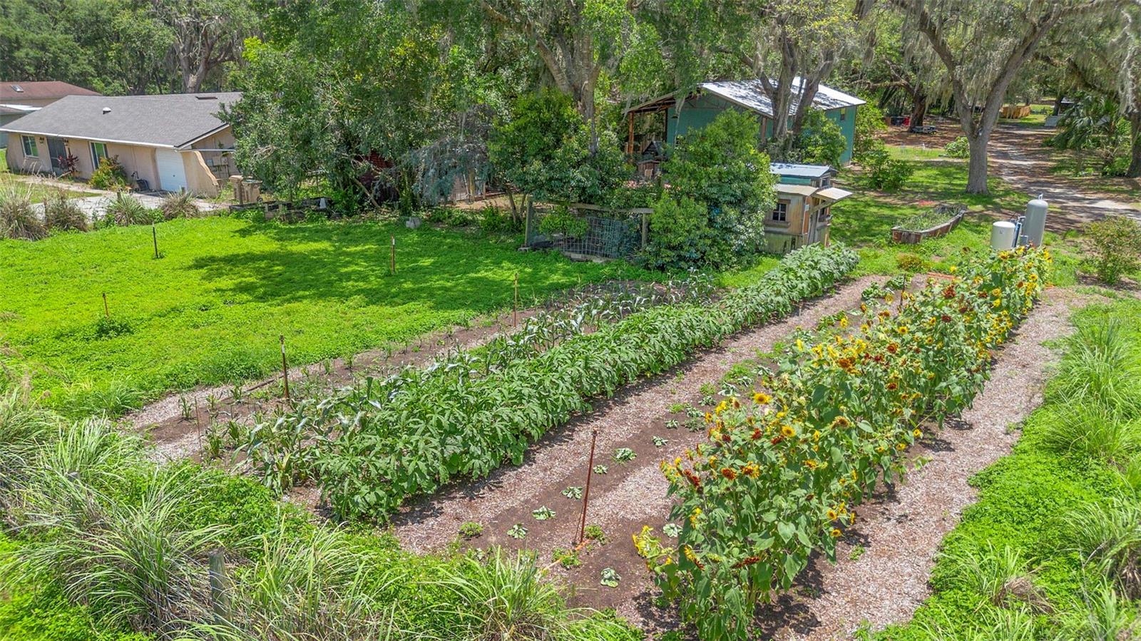 Image 89 of 99 For 2016 Lewis Road