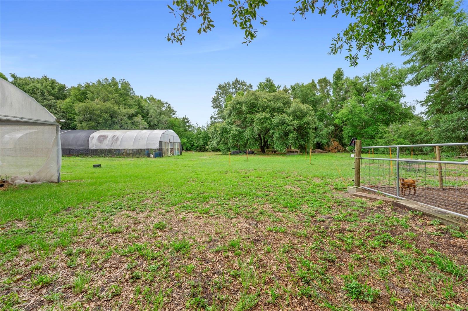 Image 92 of 99 For 2016 Lewis Road