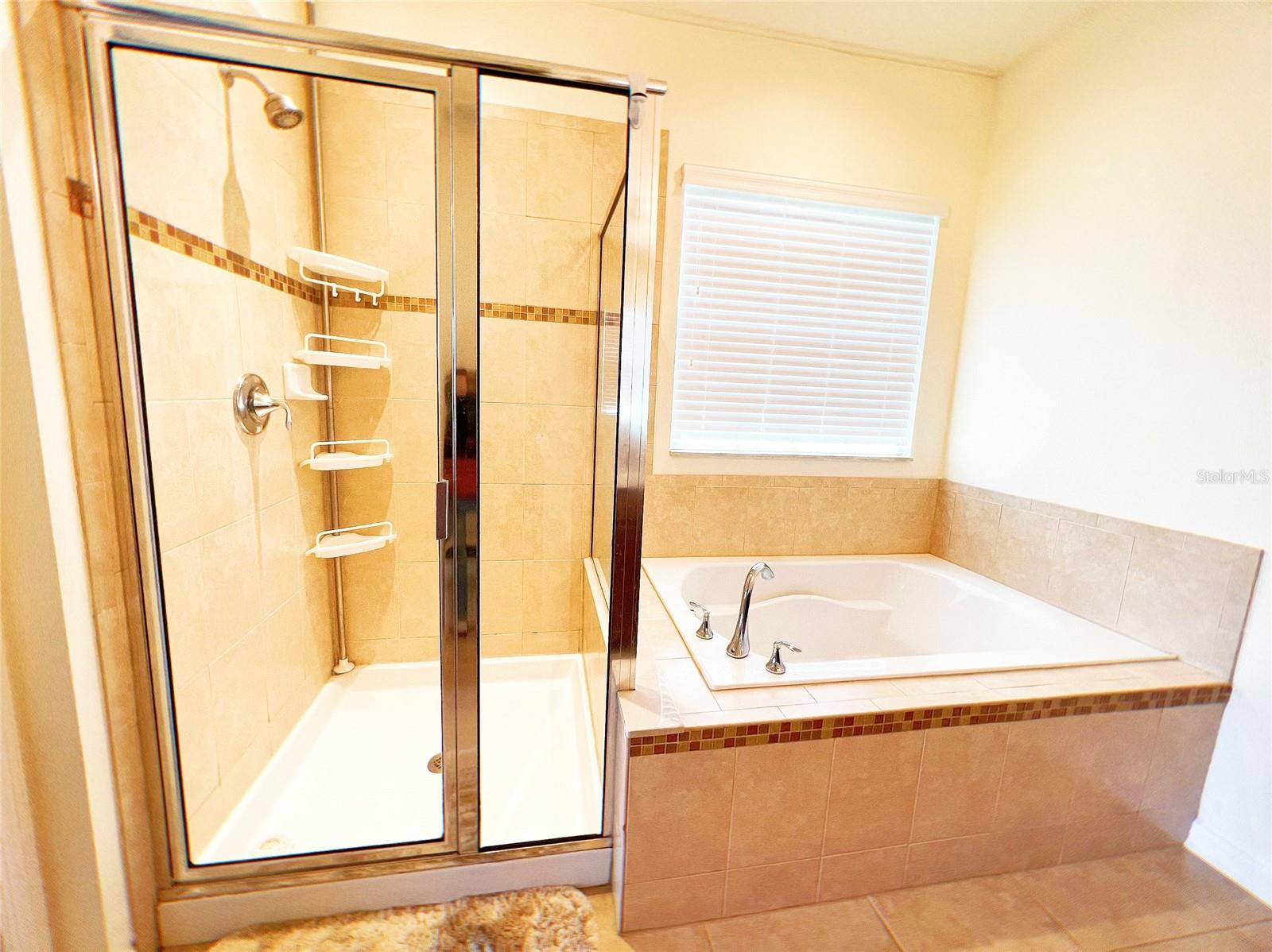 Image 15 of 26 For 9081 Shepton Street
