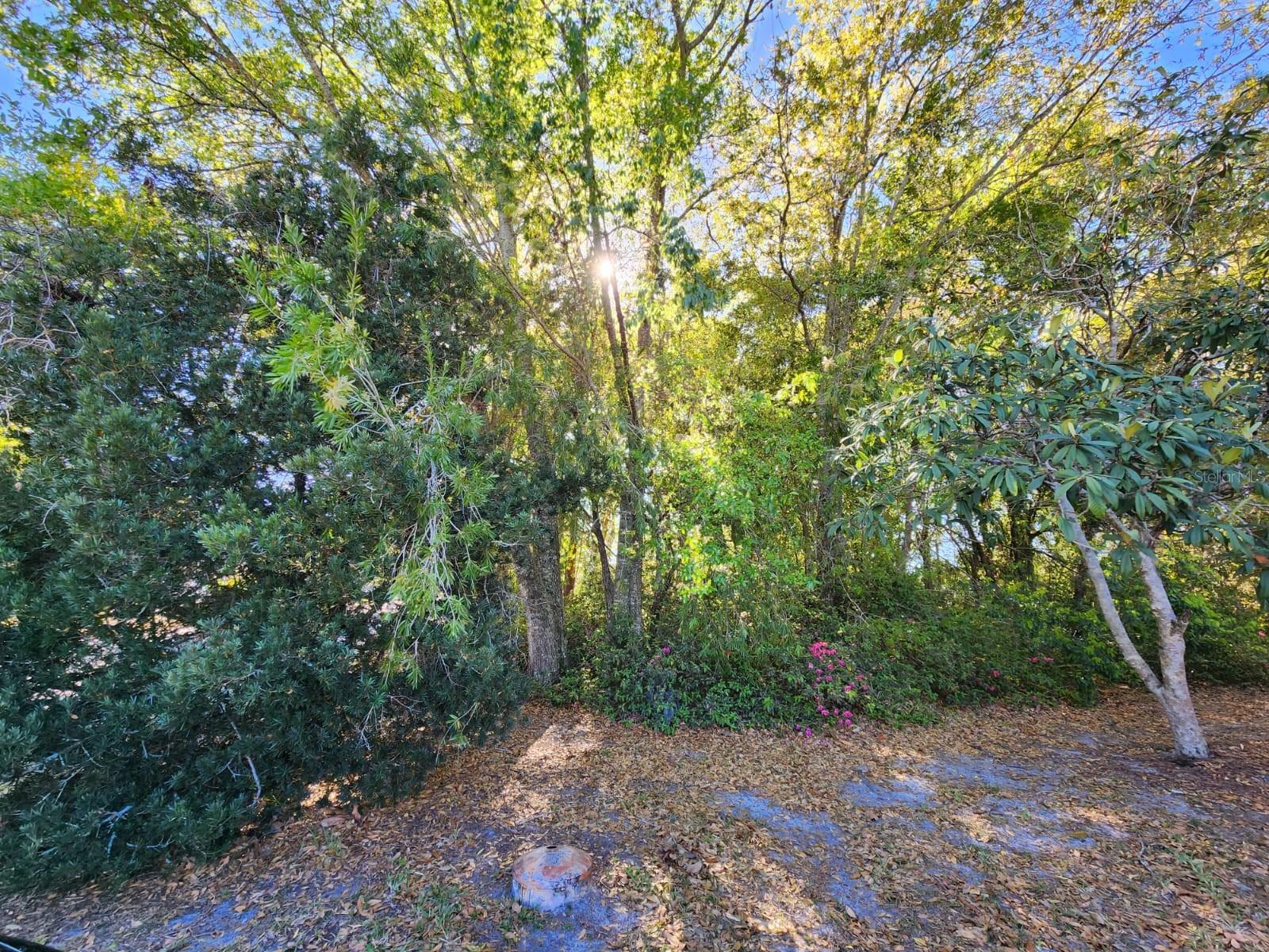 Details for Triplet Lake Drive, CASSELBERRY, FL 32707