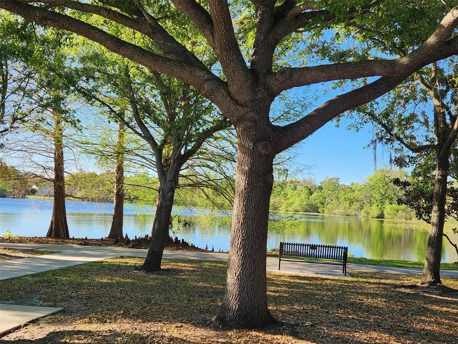 Image 14 of 15 For Triplet Lake Drive