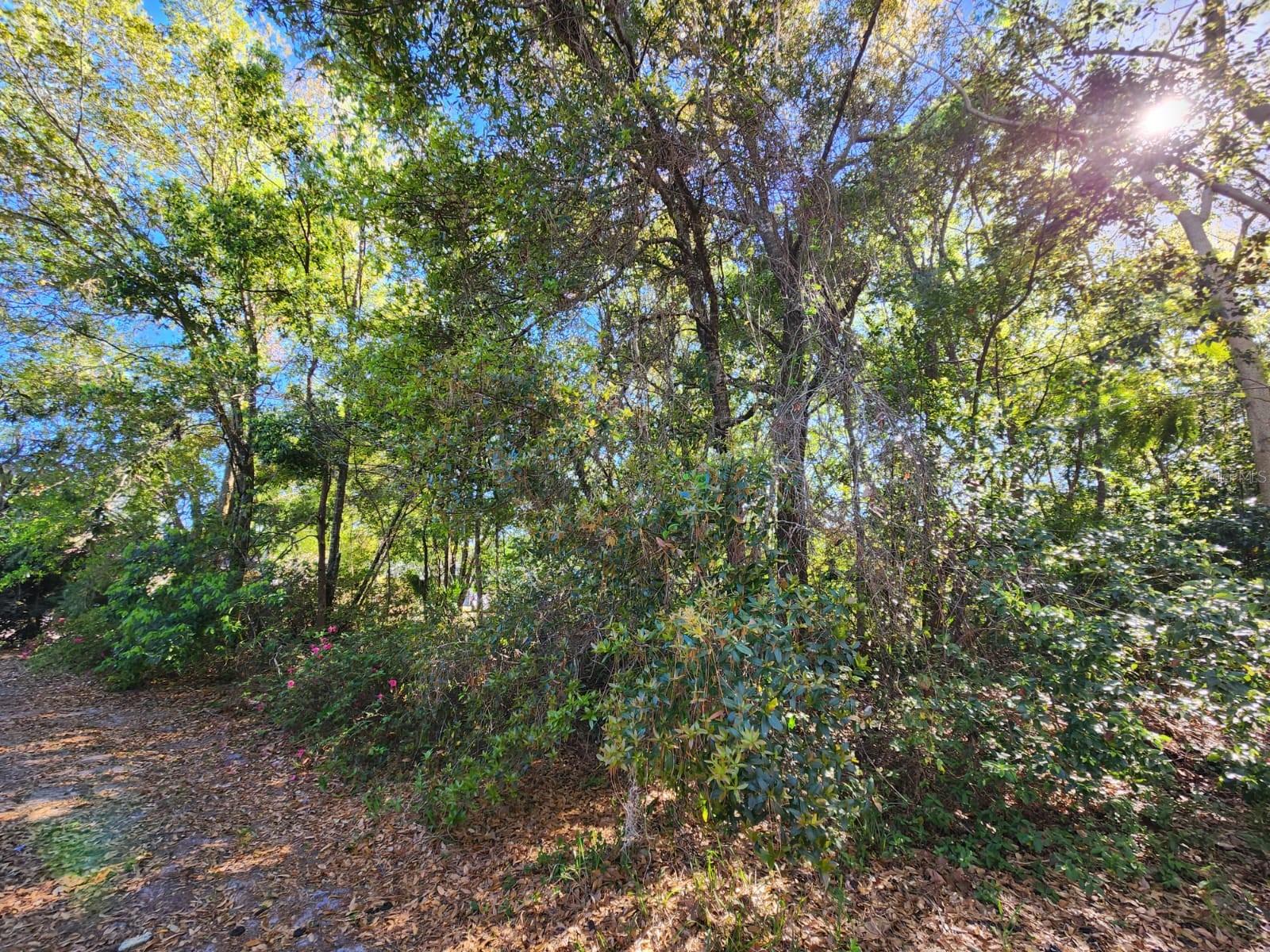 Image 2 of 15 For Triplet Lake Drive
