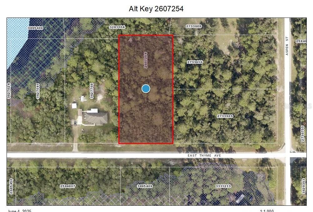 Details for Lot 9 Thyme Avenue, EUSTIS, FL 32736