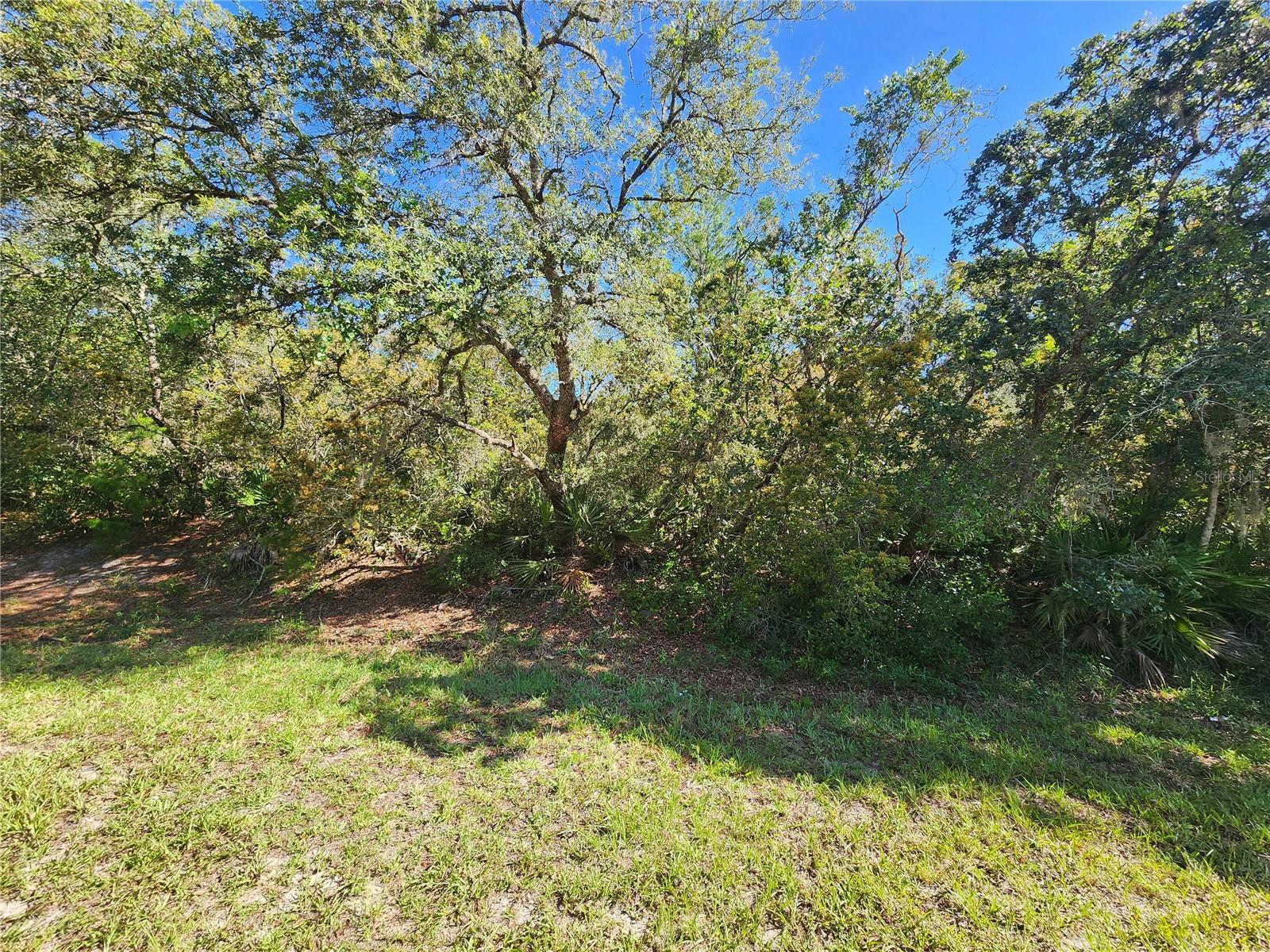 Image 4 of 5 For Lot 9 Thyme Avenue