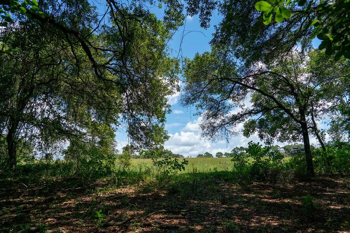 Image 9 of 11 For Lot22,shoreline Ranch Ln