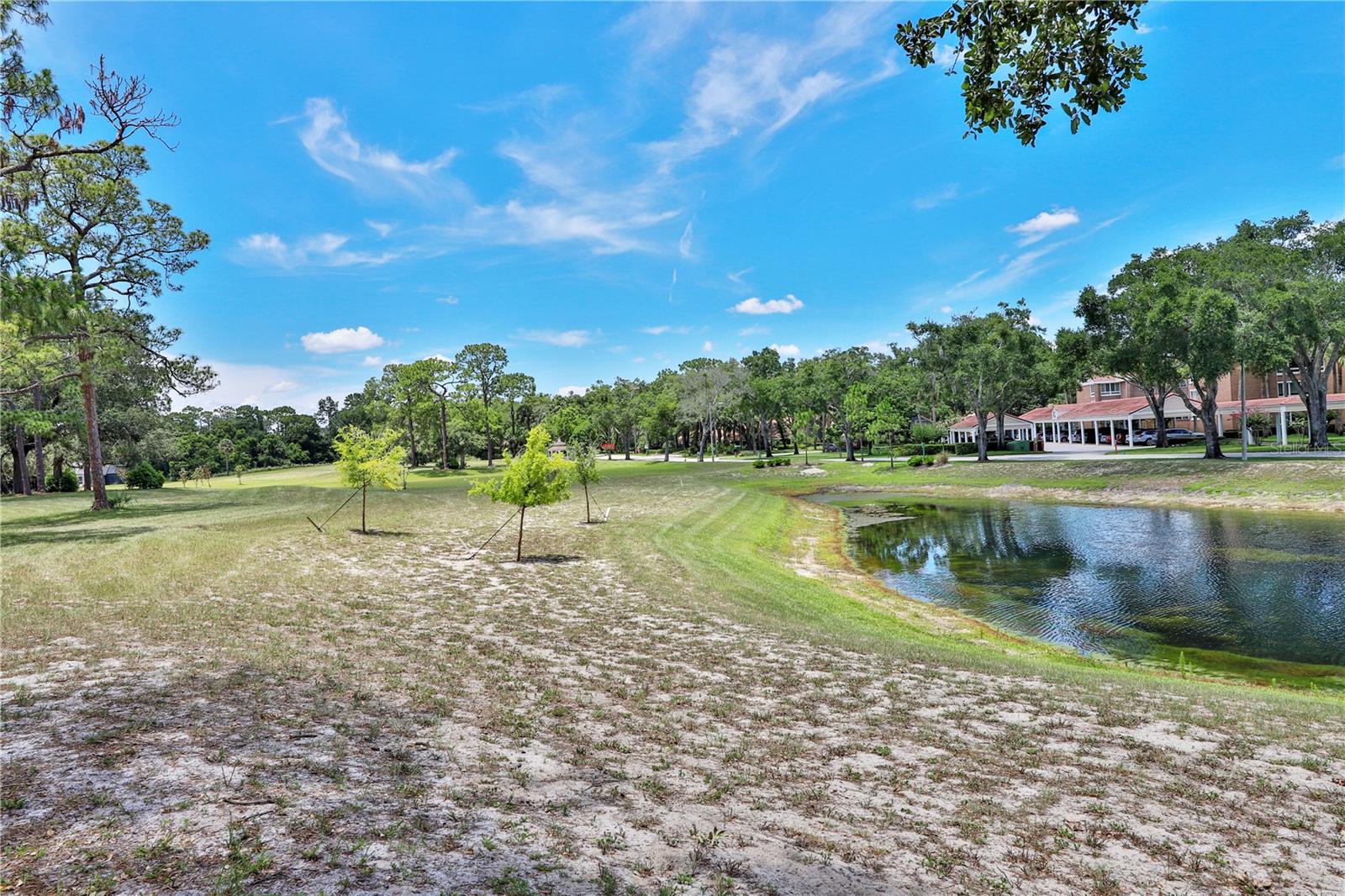 Image 15 of 16 For 247 Sabal Palm Place