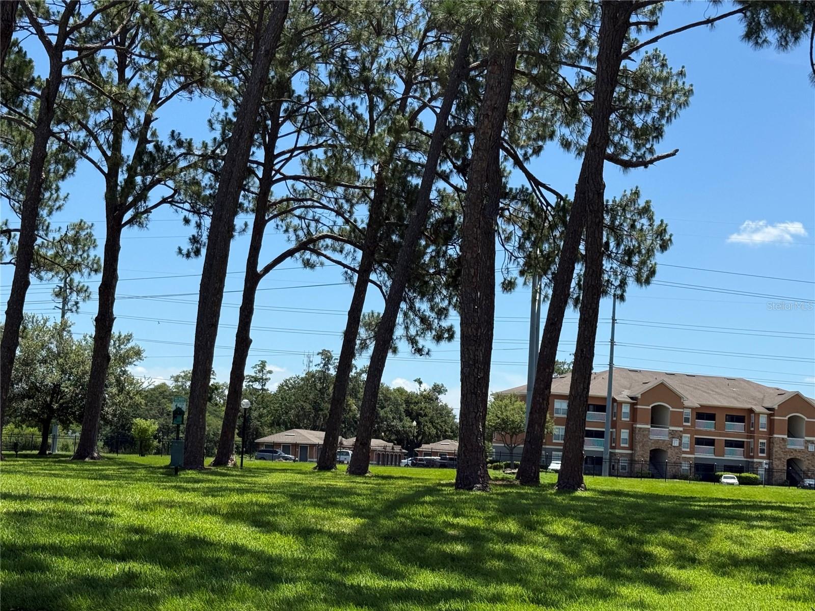 Image 19 of 35 For 5564 Slash Pine Court 4