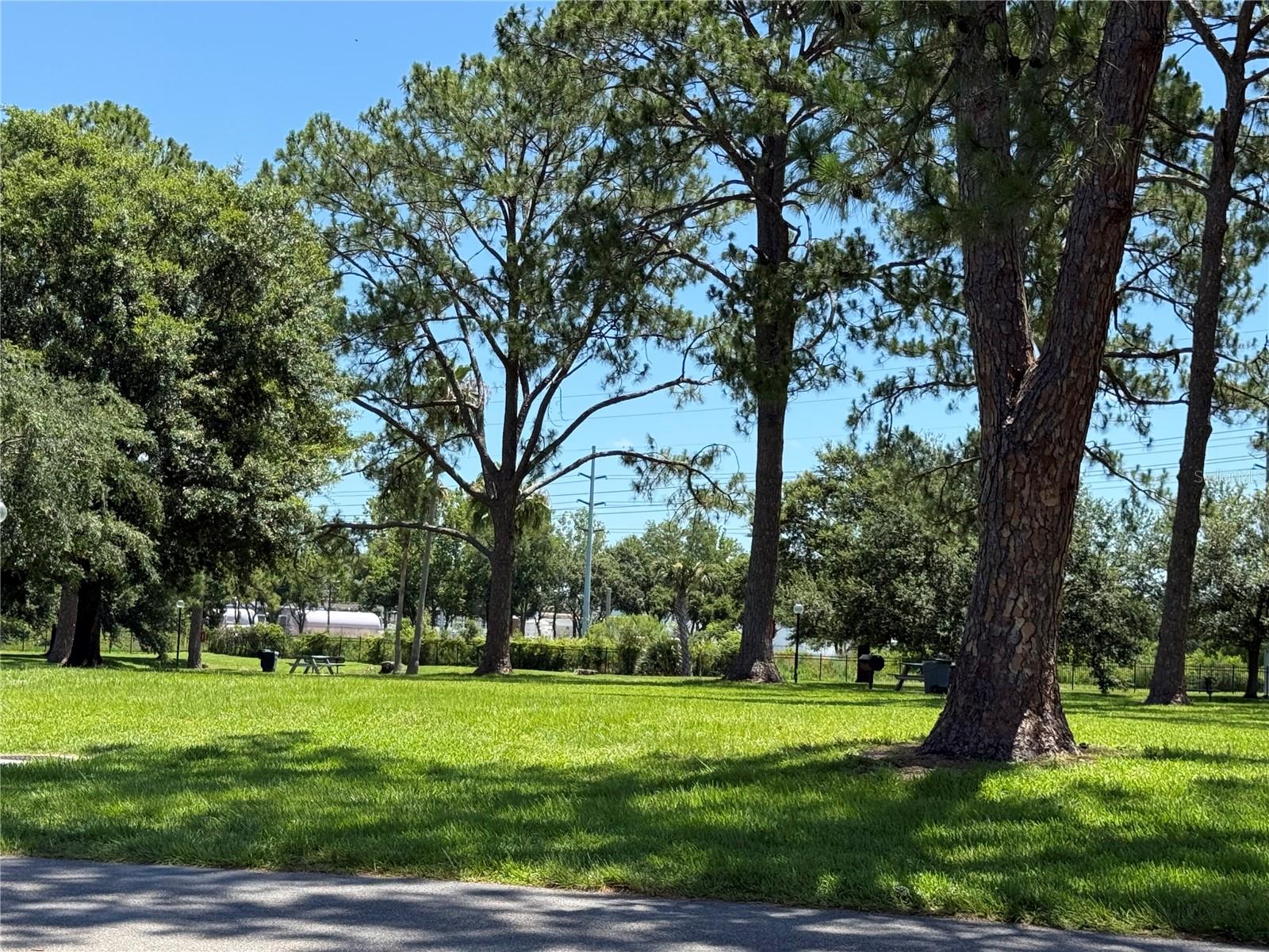 Image 20 of 35 For 5564 Slash Pine Court 4