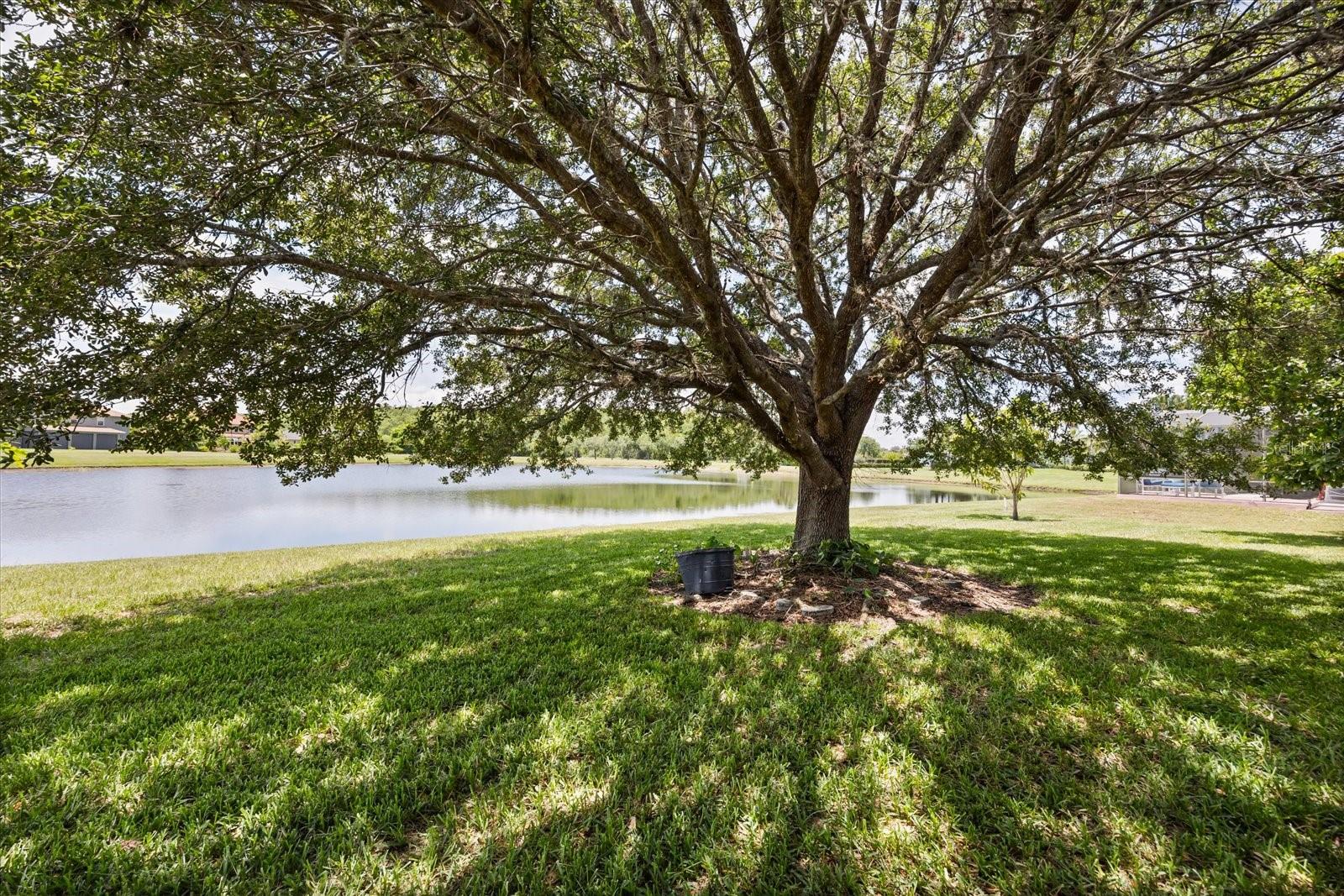 Image 32 of 35 For 2512 Chapala Drive