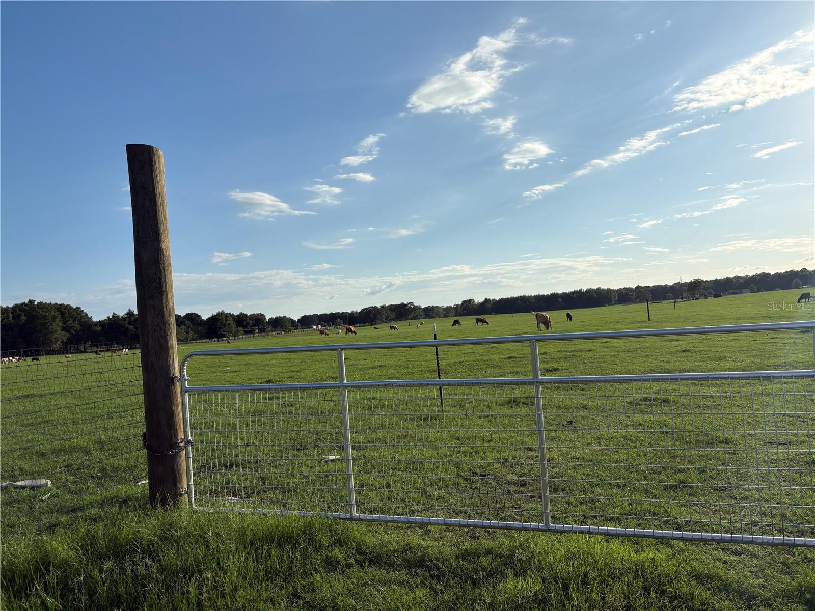 Image 3 of 6 For 13994 County Road 209