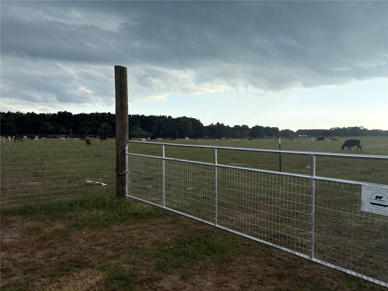 Image 5 of 6 For 13994 County Road 209