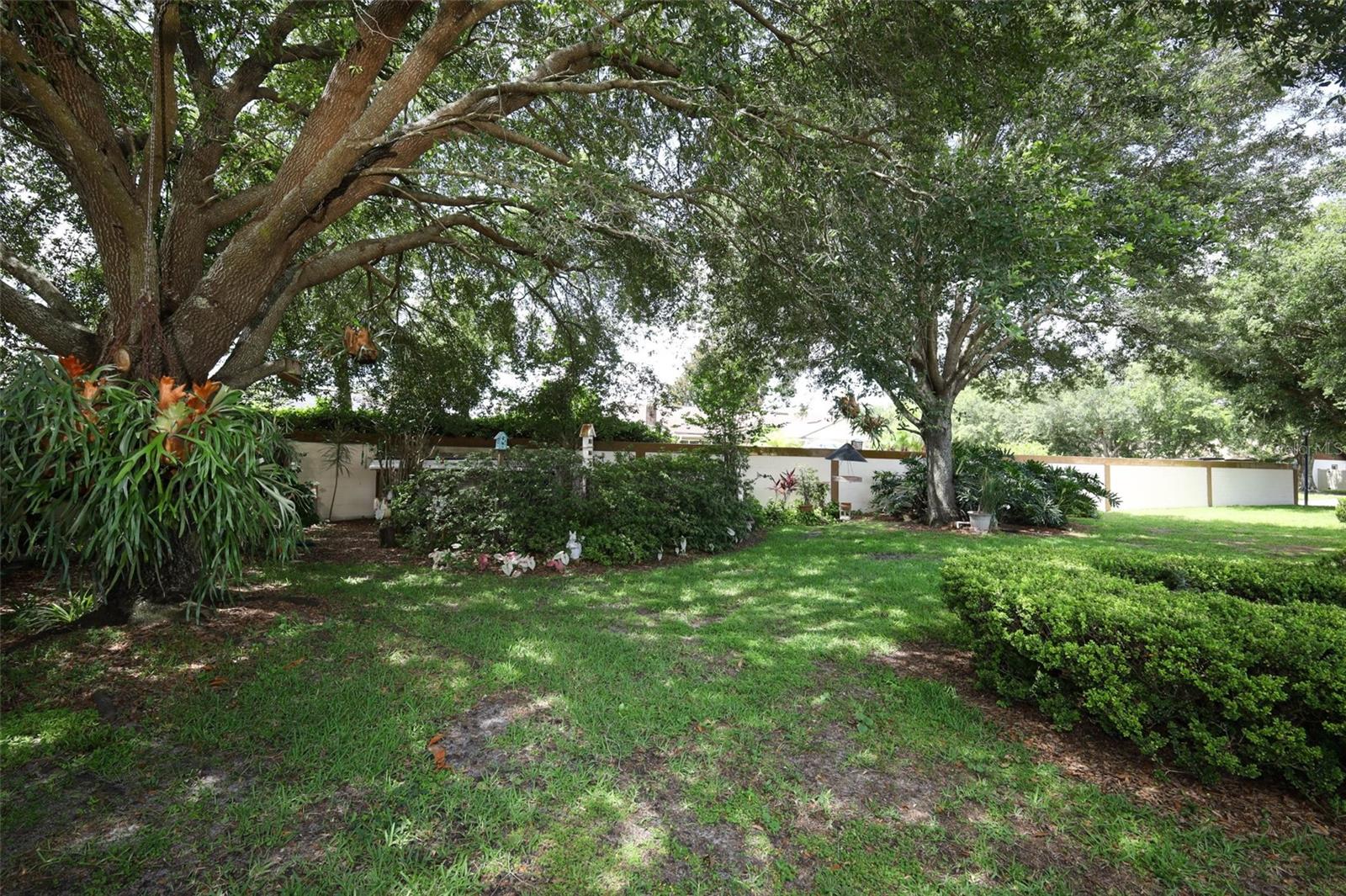 Image 2 of 49 For 9206 Everwood Street