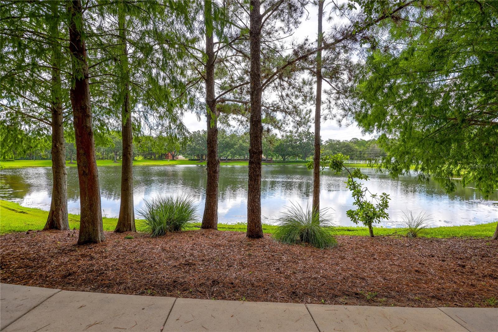 Image 4 of 53 For 14128 Avenue Of The Groves